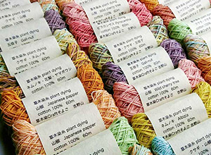 幸田鮮魚店・葛舗でんでん・草木染Craft 冬青(そよご)