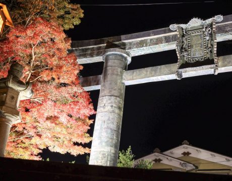 銅の鳥居紅葉ライトアップ